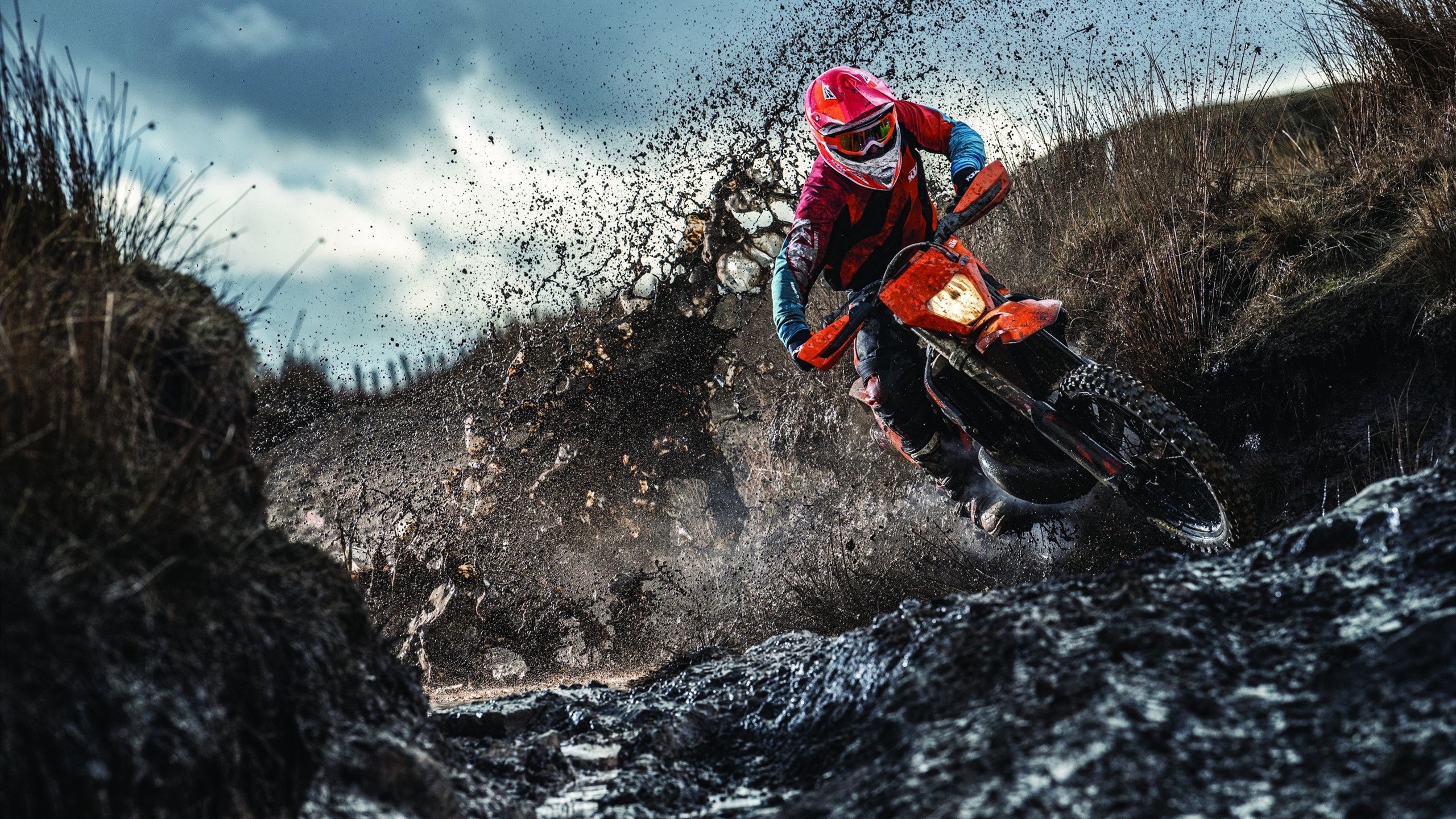 最后冲刺:奋战到底,勇夺季后赛?,最后冲刺 完美收官